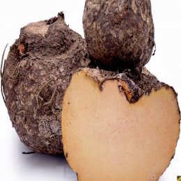 SBJEI-FRESH ELEPHANT FOOT YAM